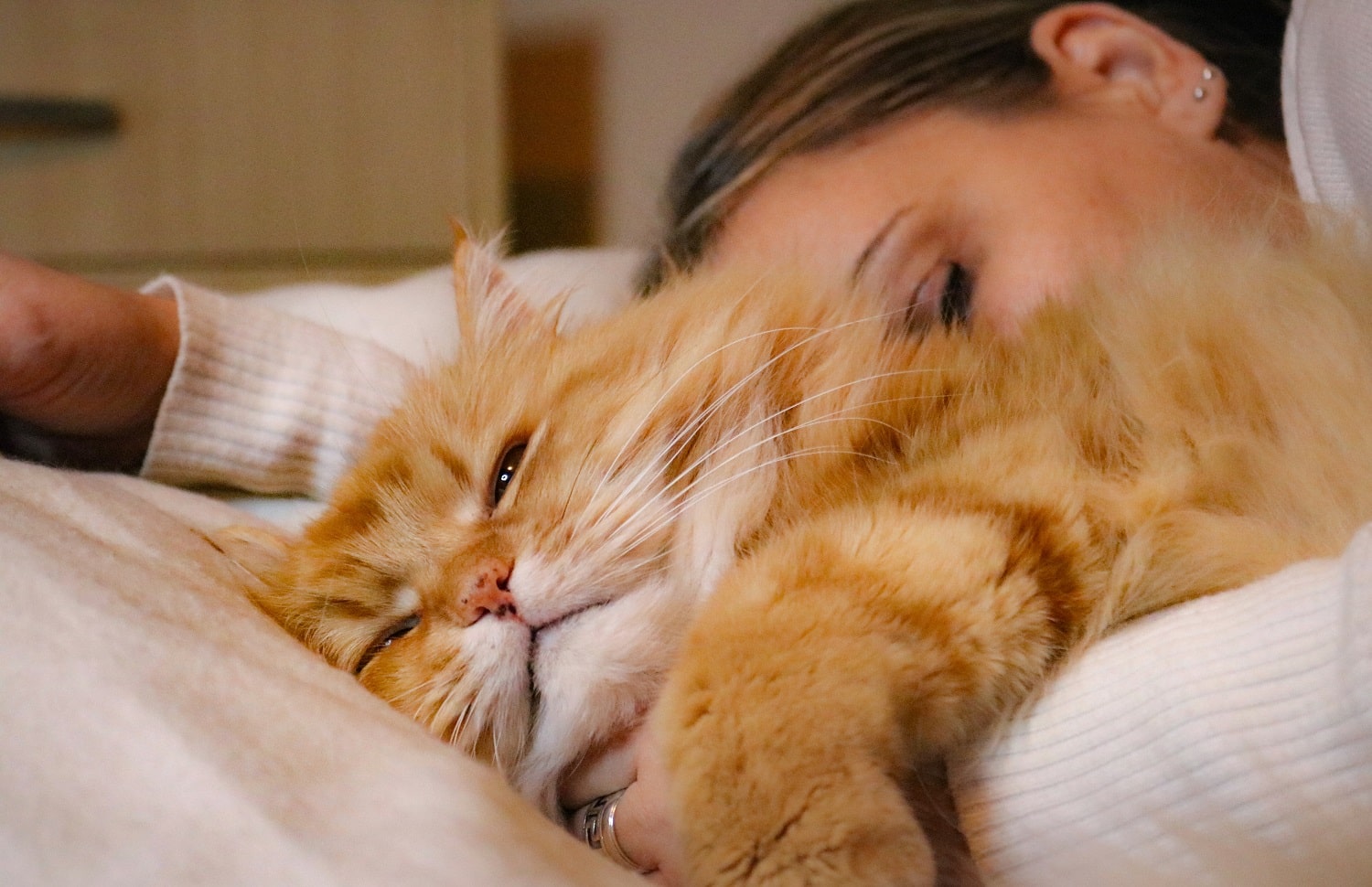 a-ginger-cat-and-a-woman-sleeping-2022-04-09-20-30-57-utc-min.jpg