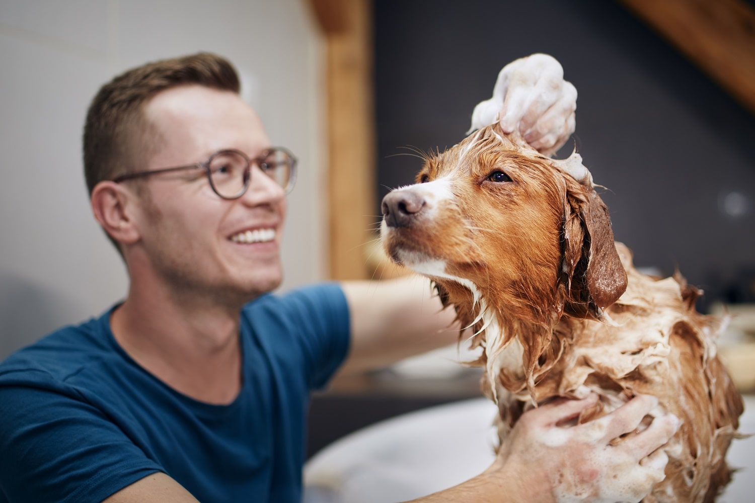 dog-taking-bath-at-home-2022-04-27-07-16-14-utc-min.jpg