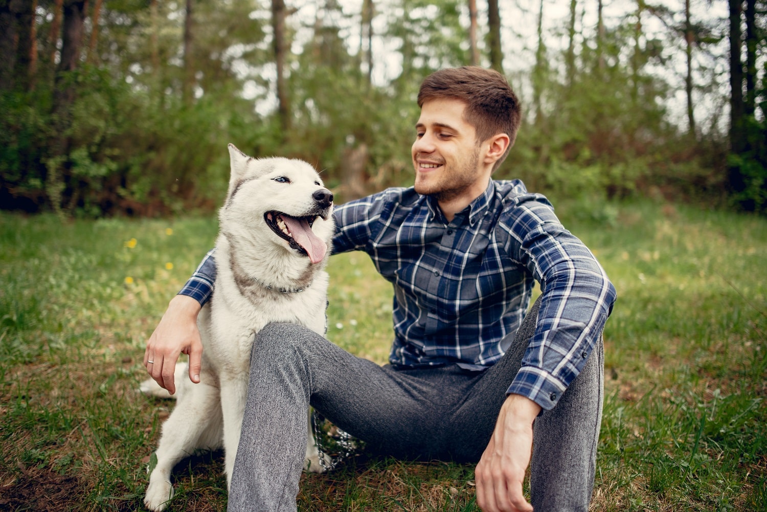 handsome-guy-in-a-summer-park-with-a-dog-2022-02-02-05-09-48-utc-min.jpg